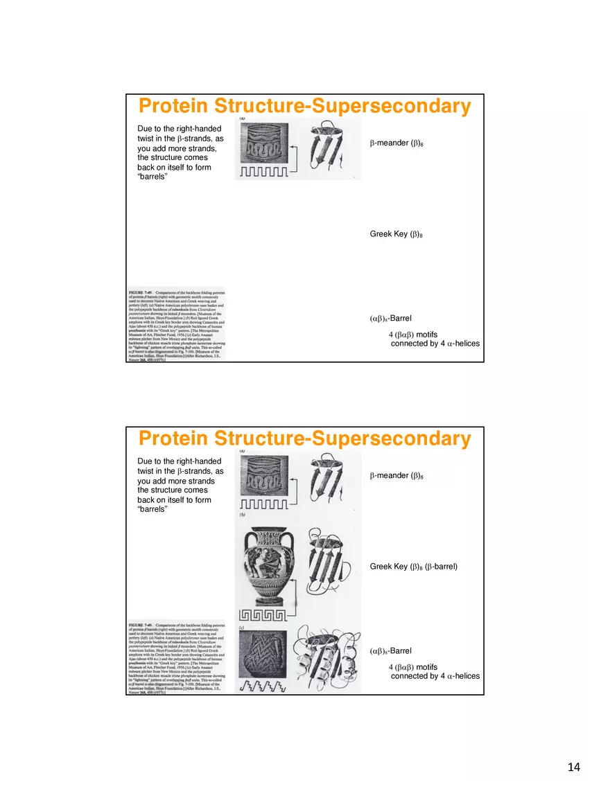 Secondary Structure Protein - Page 6
