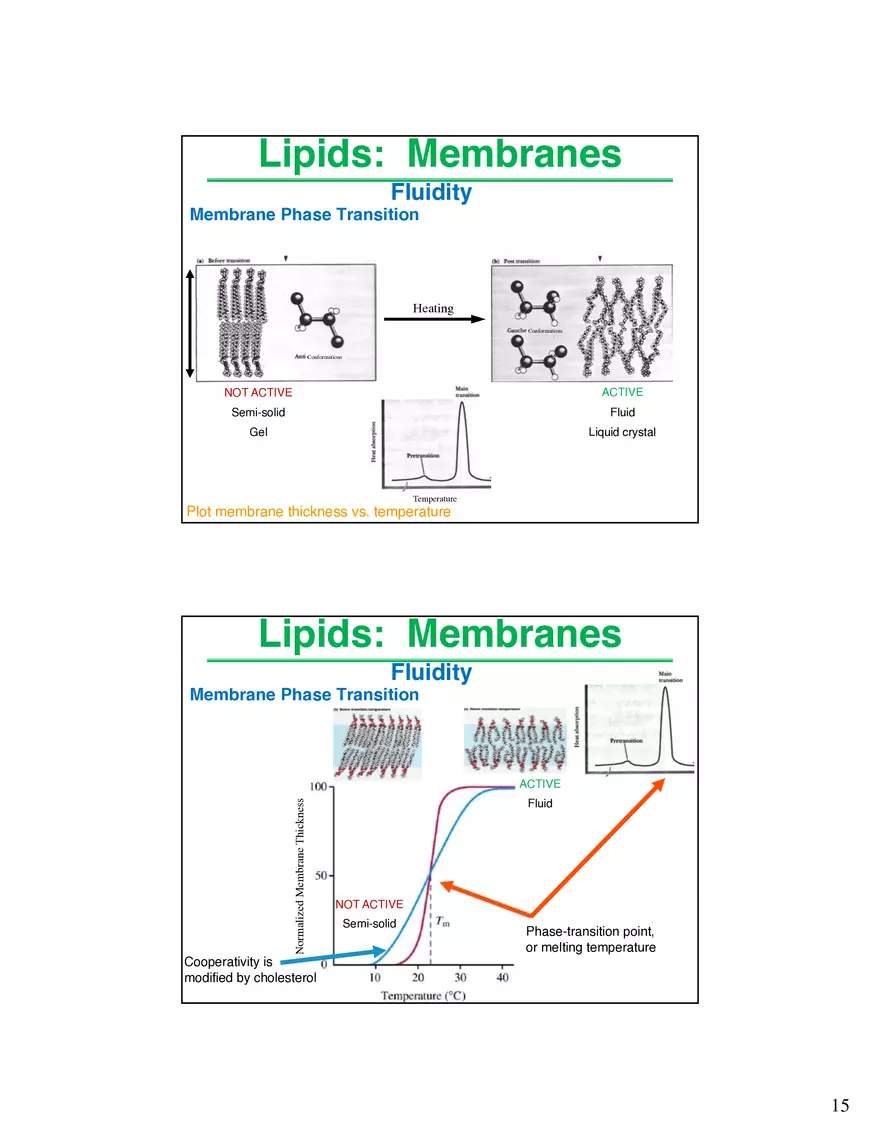 Lipids Membranes Lipids Classes - Page 7