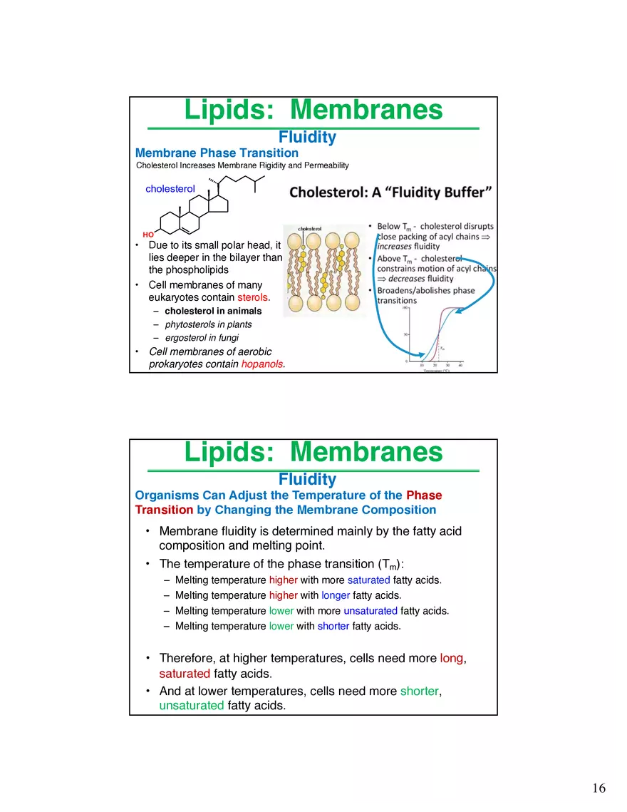 Lipids Membranes Lipids Classes - Page 8