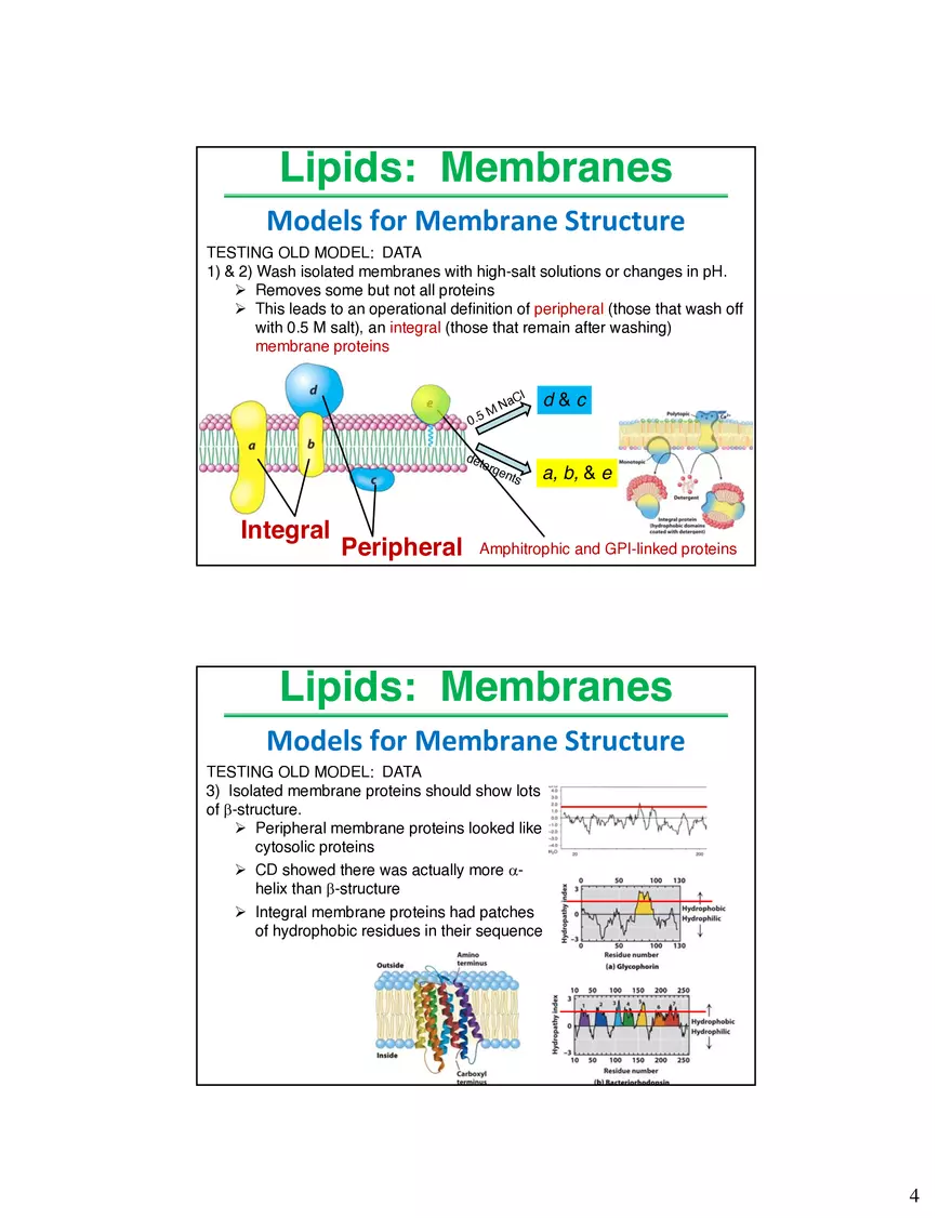Lipids Membranes Lipids Classes - Page 11