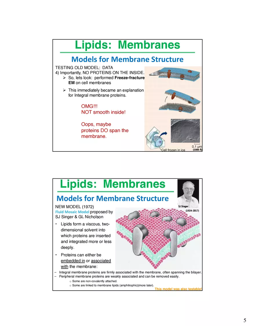 Lipids Membranes Lipids Classes - Page 12