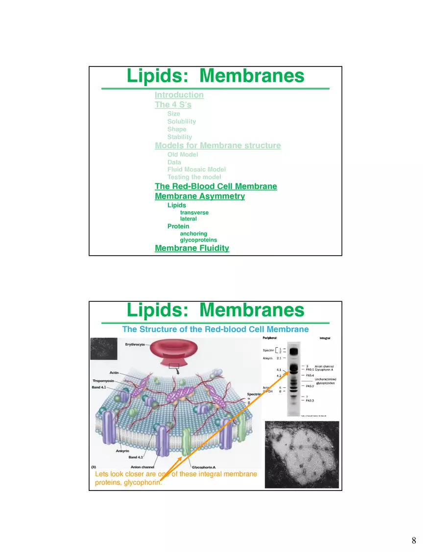 Lipids Membranes Lipids Classes - Page 15