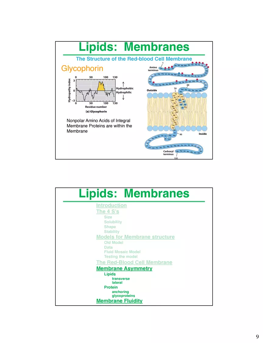 Lipids Membranes Lipids Classes - Page 16