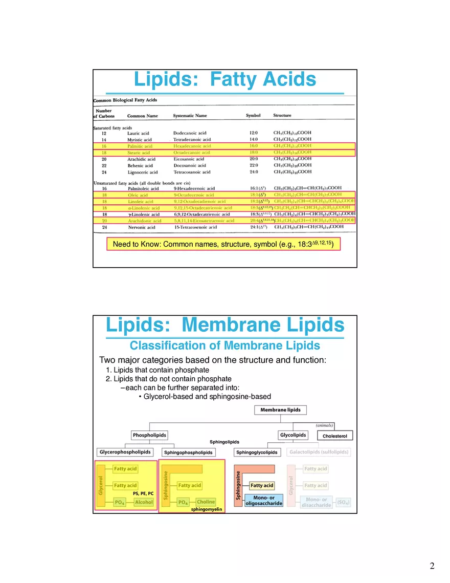 Lipids Membranes Lipids Classes - Page 2