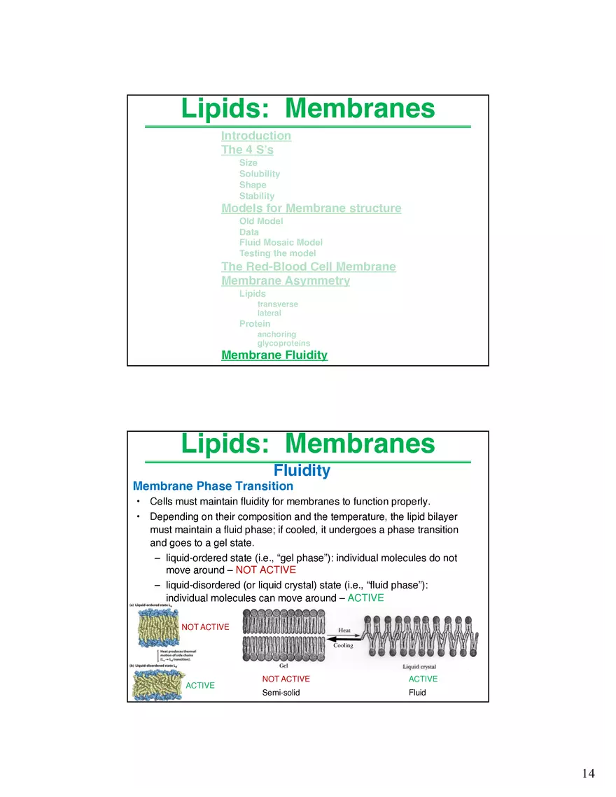 Lipids Membranes Lipids Classes - Page 6