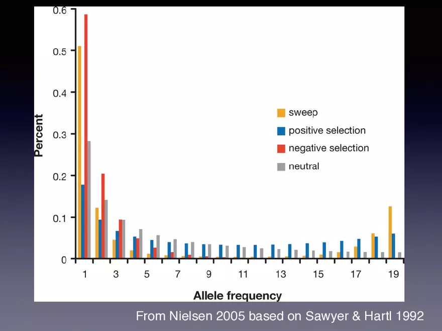 Exploring the Complicated Role of Evolutionary Modeling in Paleobiology - Page 10