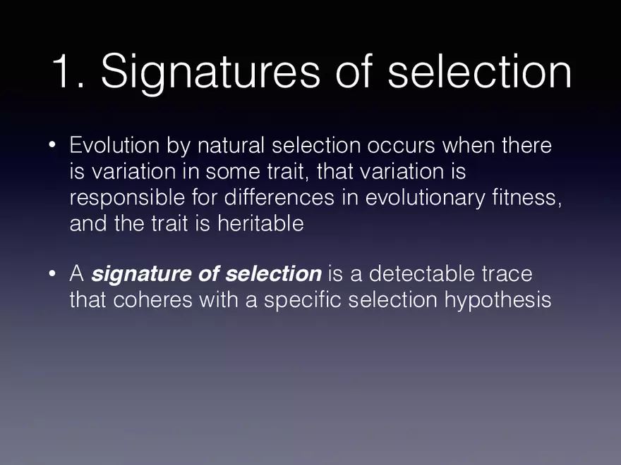 Exploring the Complicated Role of Evolutionary Modeling in Paleobiology - Page 13