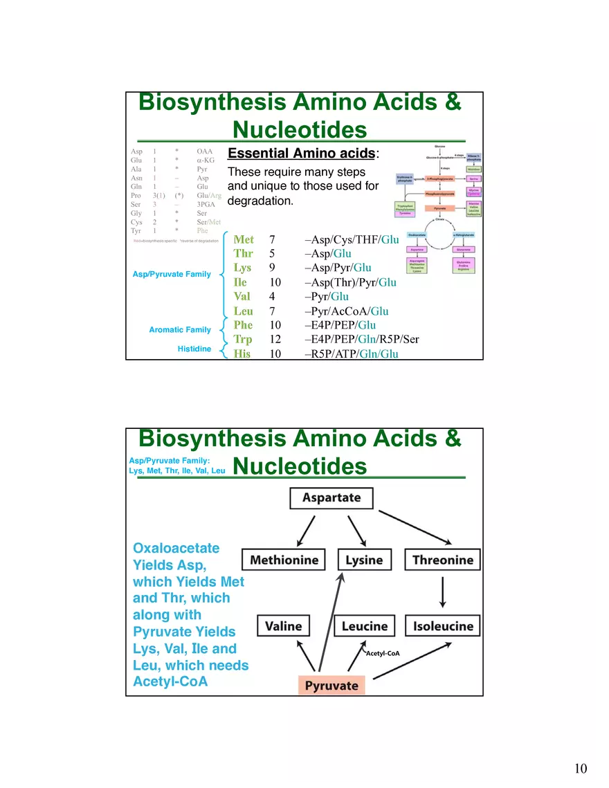 Anabolism III - Biosynthesis Amino Acids and Nucleotides - Page 11