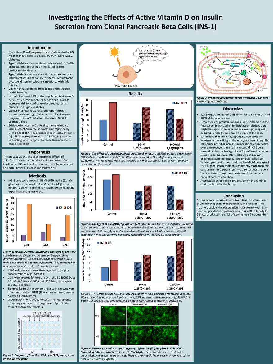 Investigating the Effects of Active Vitamin D on Insulin Secretion from Clonal Pancreatic Beta Cells (INS-1) - Page 1