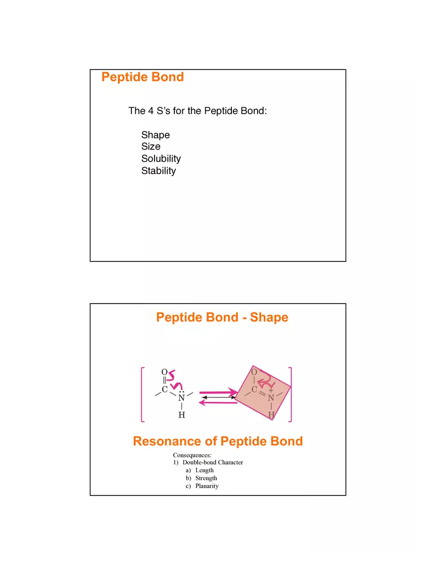 4 Levels of Protein Structure Lecture - Page 7