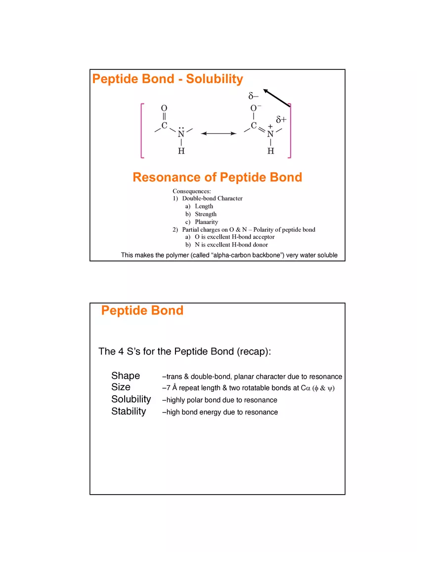4 Levels of Protein Structure Lecture - Page 12