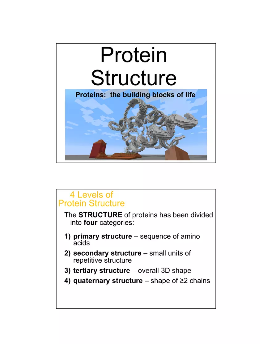 4 Levels of Protein Structure Lecture - Page 1