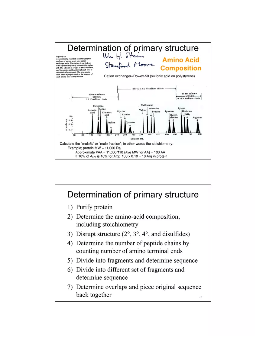 4 Levels of Protein Structure Lecture - Page 5