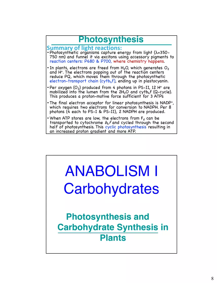 Photosynthesis, Anabolism I Carbohydrates - Page 9