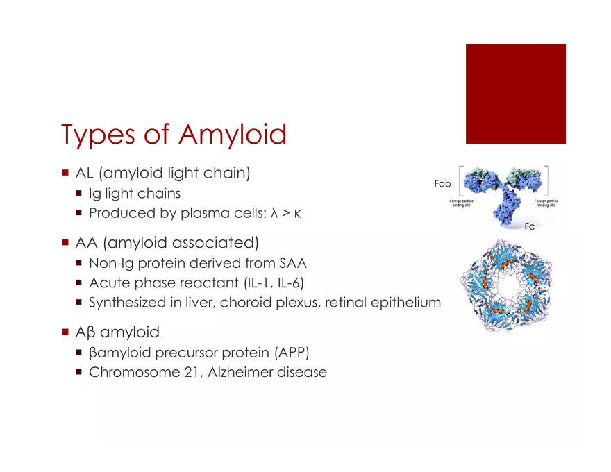 Amyloid Neuropathy Lecture Part 1 - Page 18