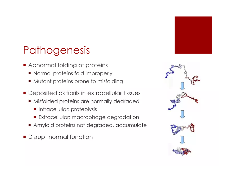 Amyloid Neuropathy Lecture Part 1 - Page 3