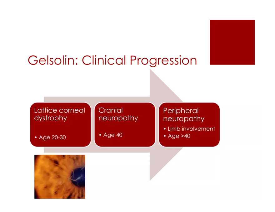 Amyloid Neuropathy Lecture Part 3 - Page 4
