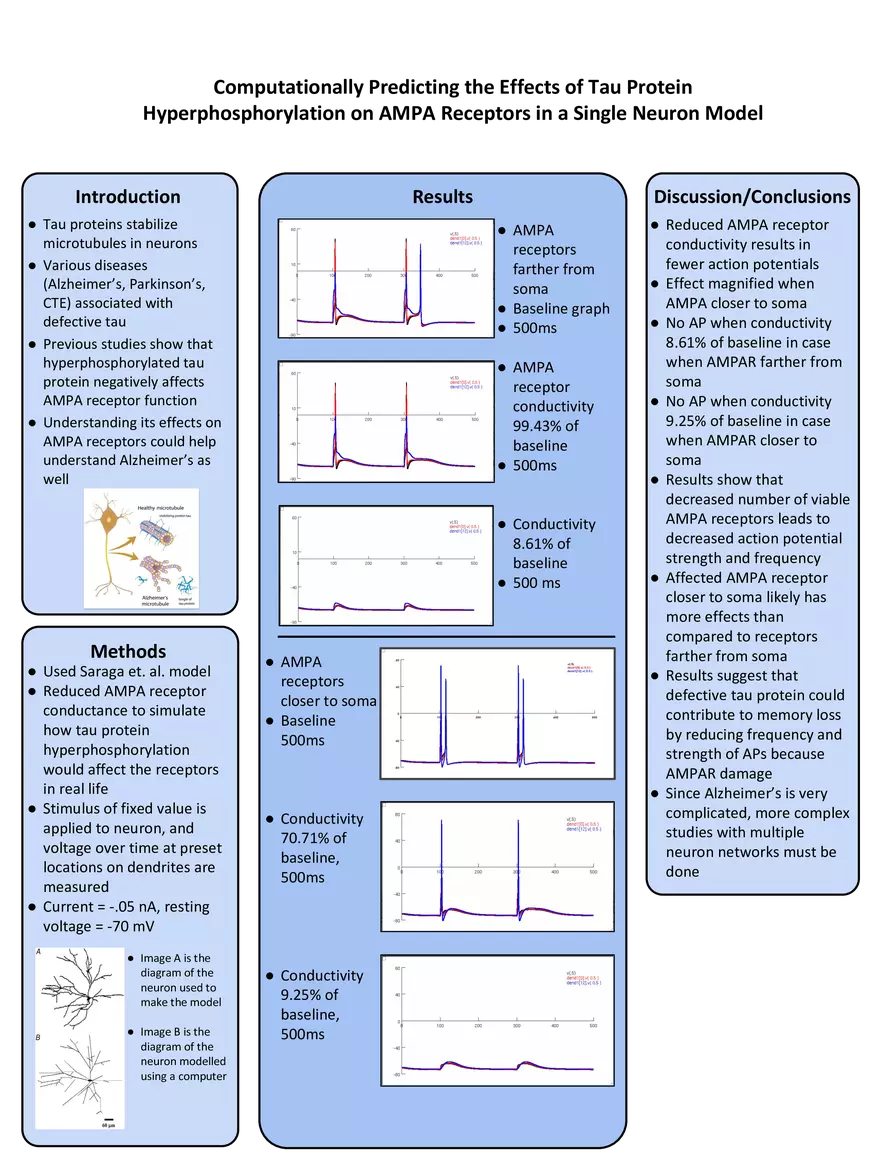 Computationally Predicting the Effects of Tau Protein Hyperphosphorylation - Page 1