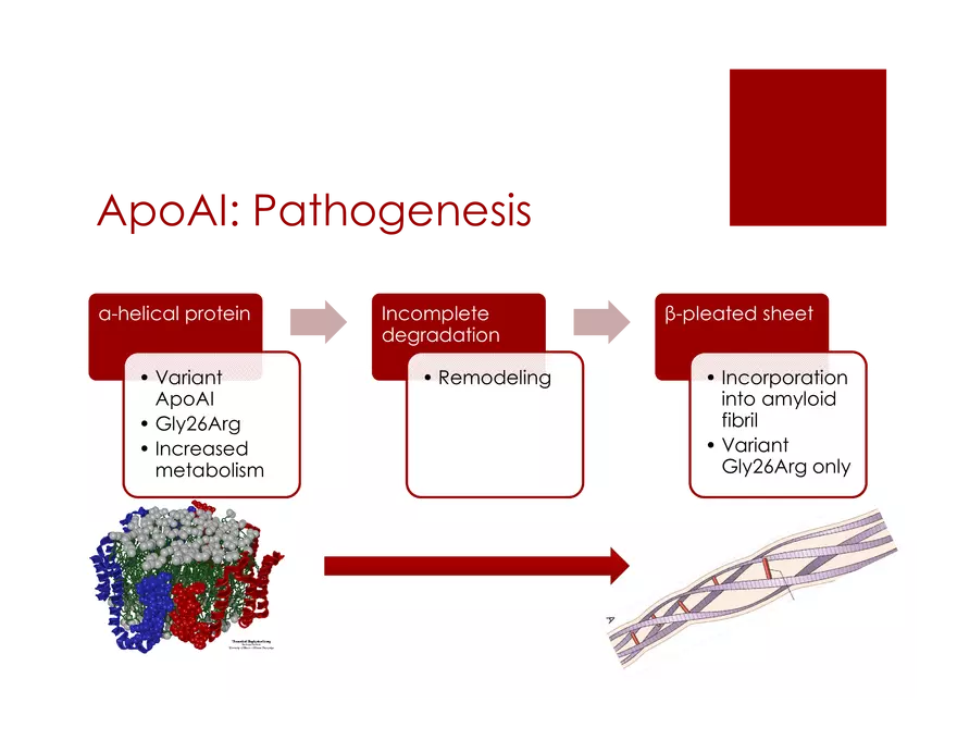 Amyloid Neuropathy Lecture Part 2 - Page 9