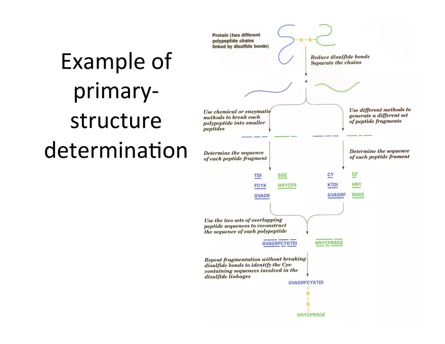 Reagents for Protein Sequence Determination - Page 9