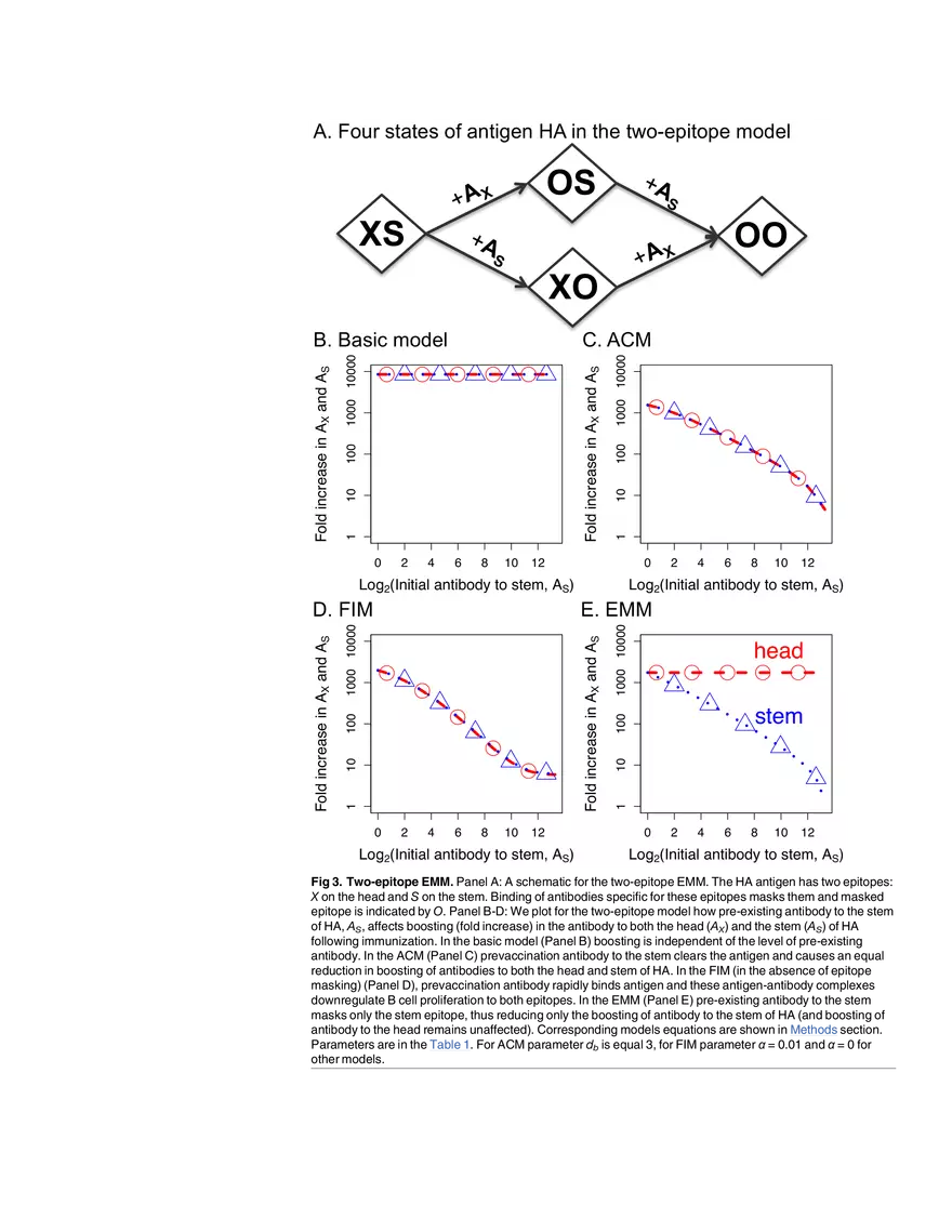 Multi-epitope Models Explain How Pre-existing Antibodies Affect - Page 16