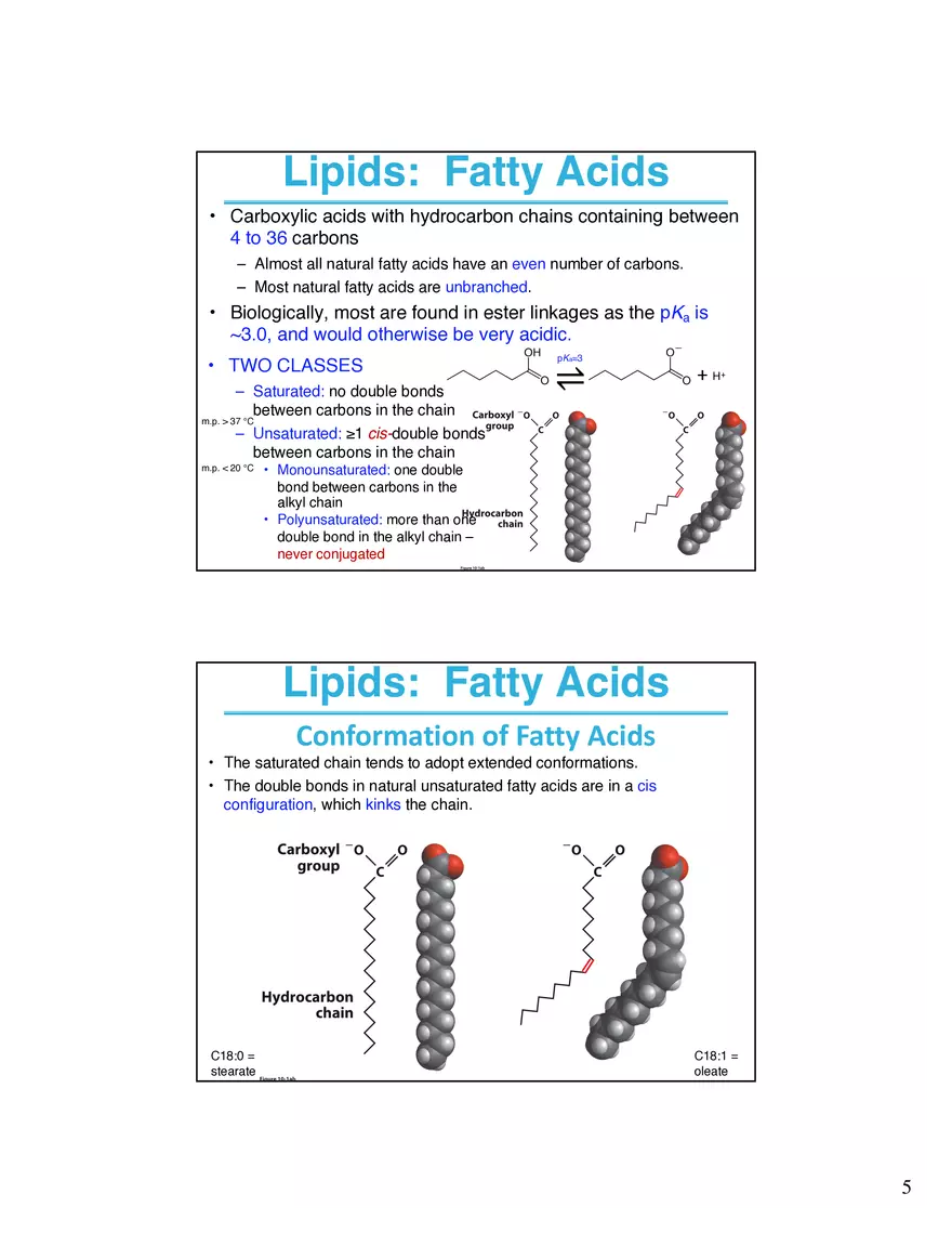 Lipids and Membranes Lecture Note - Page 7