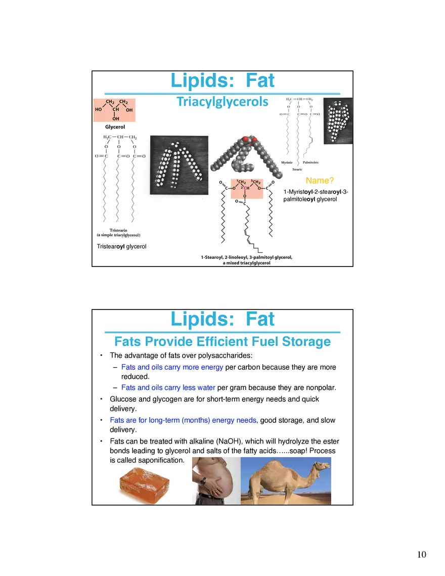Lipids and Membranes Lecture Note - Page 12