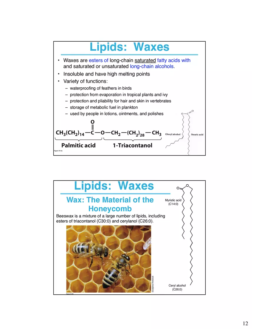 Lipids and Membranes Lecture Note - Page 4