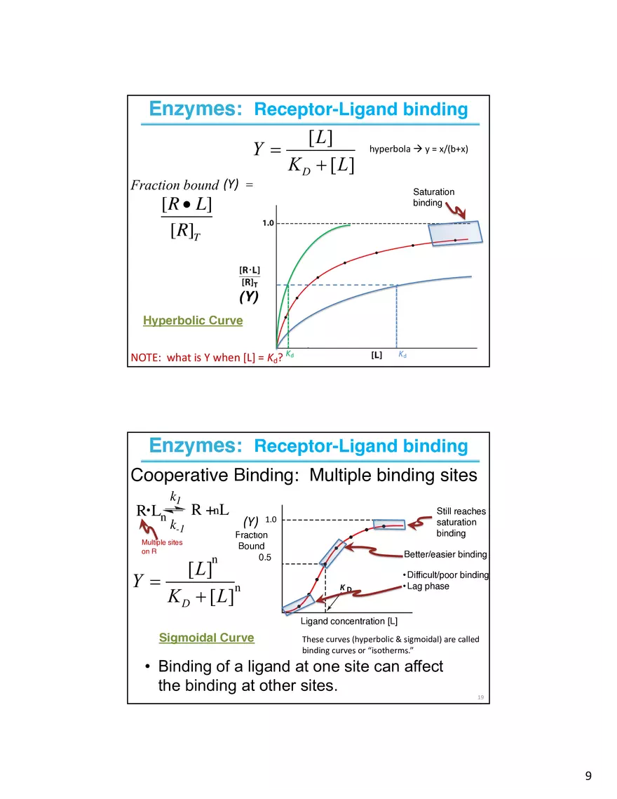 Enzymes - The Most Important Class of Proteins on Earth - Page 10