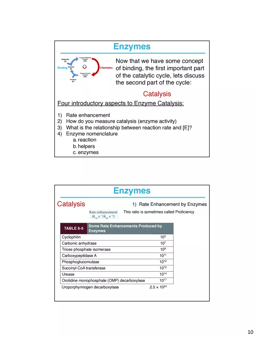 Enzymes - The Most Important Class of Proteins on Earth - Page 11