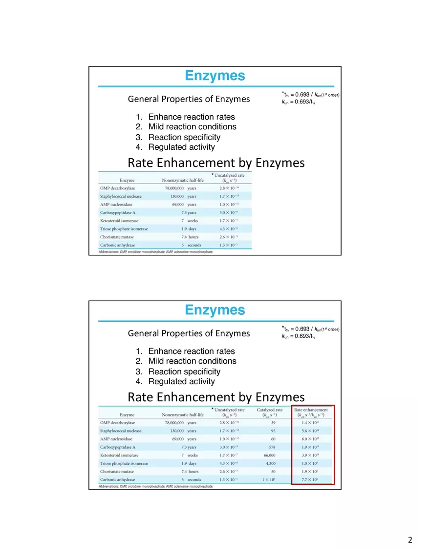 Enzymes - The Most Important Class of Proteins on Earth - Page 2