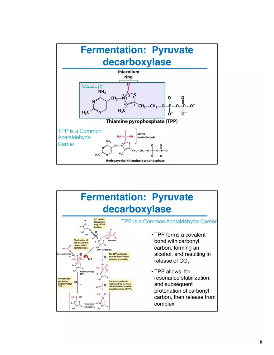 Fermentation Pyruvate Decarboxylase Lecture - Page 8