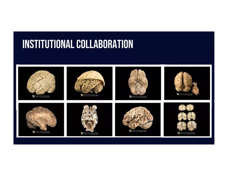 Overcoming Barriers through Digital Cadaver Preservation and Inclusive Pedagogy - Page 6