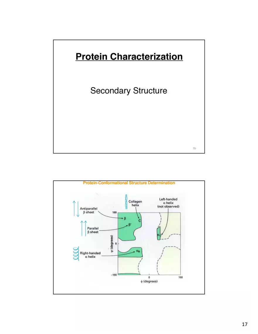 Protein-Conformational Structure Determination - Page 9