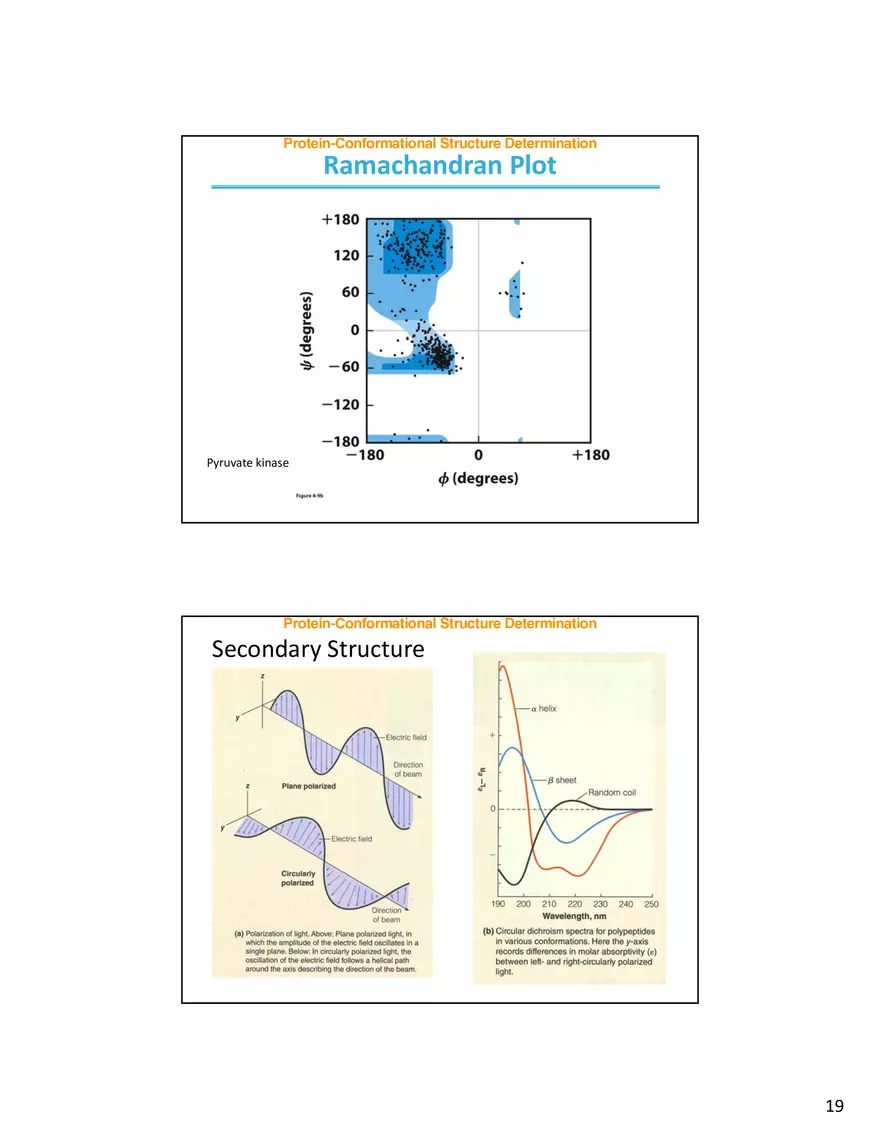 Protein-Conformational Structure Determination - Page 11