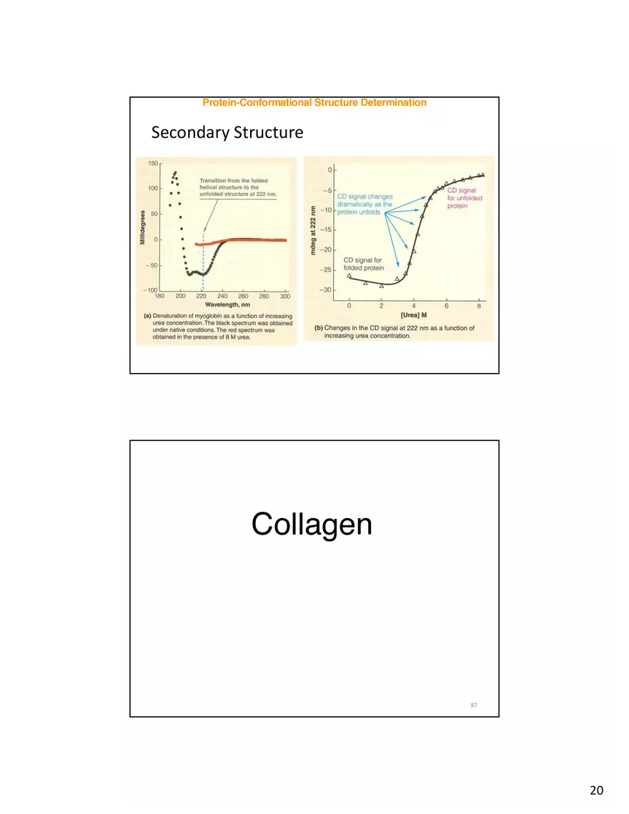 Protein-Conformational Structure Determination - Page 12