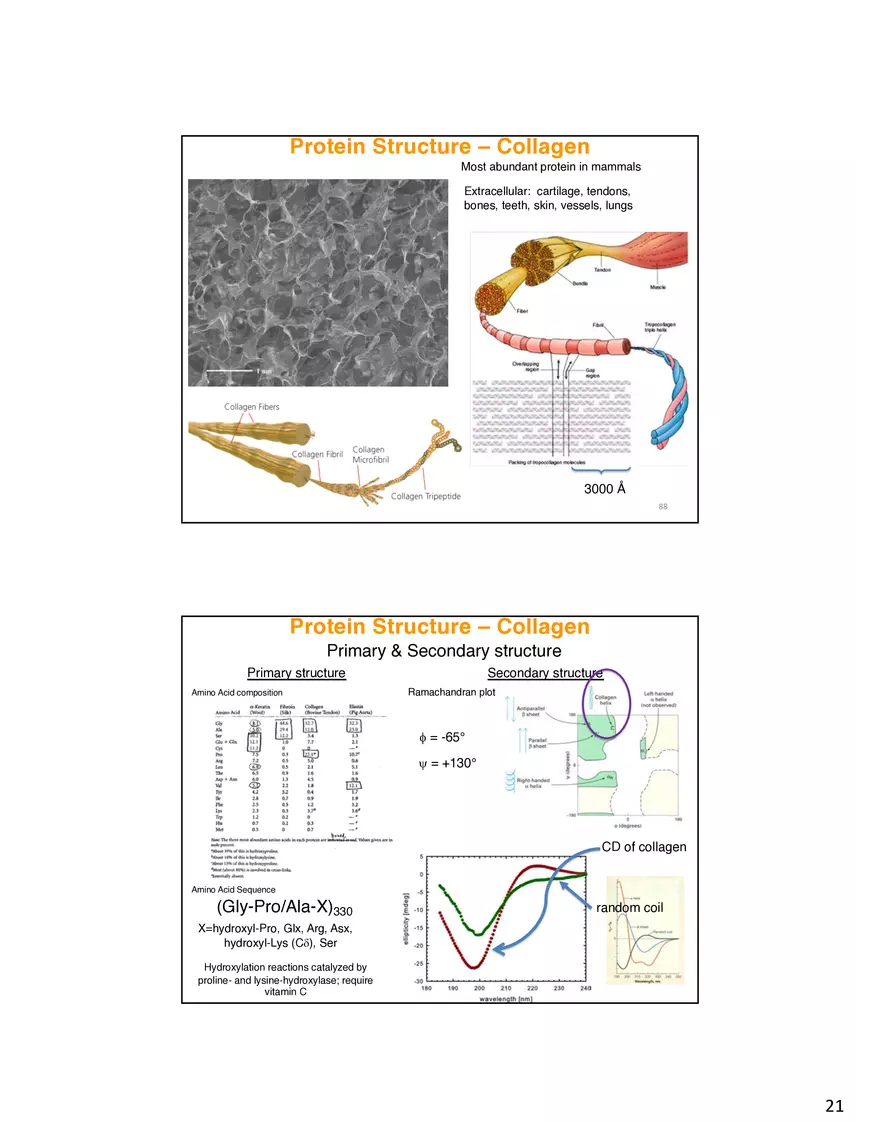Protein-Conformational Structure Determination - Page 14