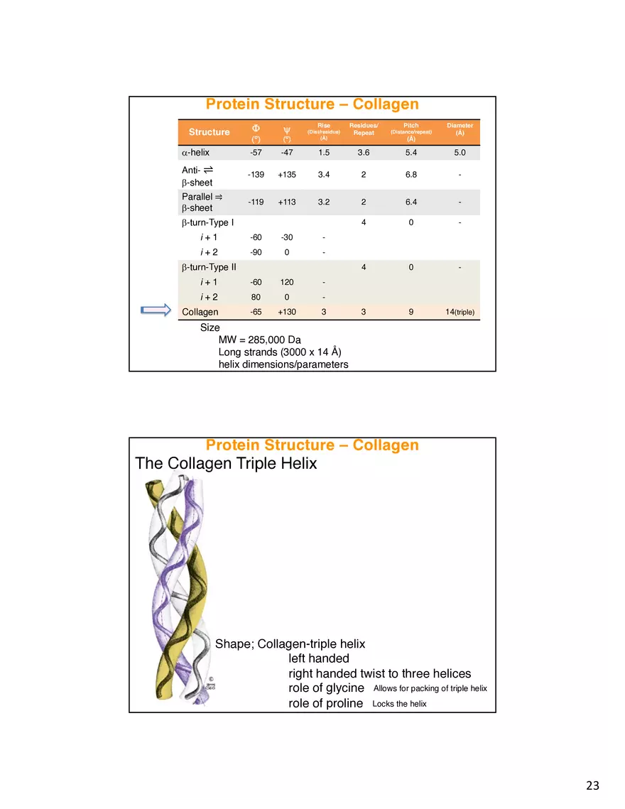 Protein-Conformational Structure Determination - Page 16