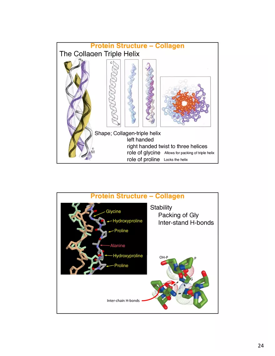 Protein-Conformational Structure Determination - Page 17