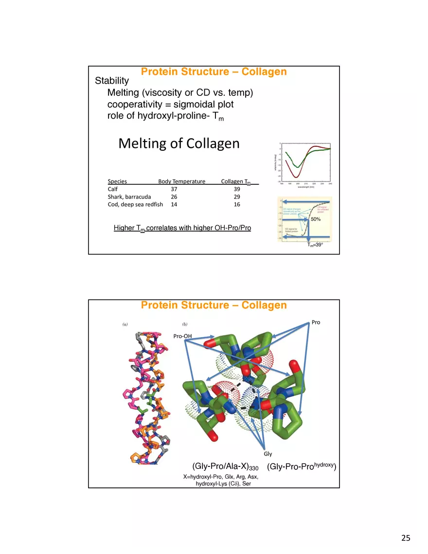 Protein-Conformational Structure Determination - Page 18