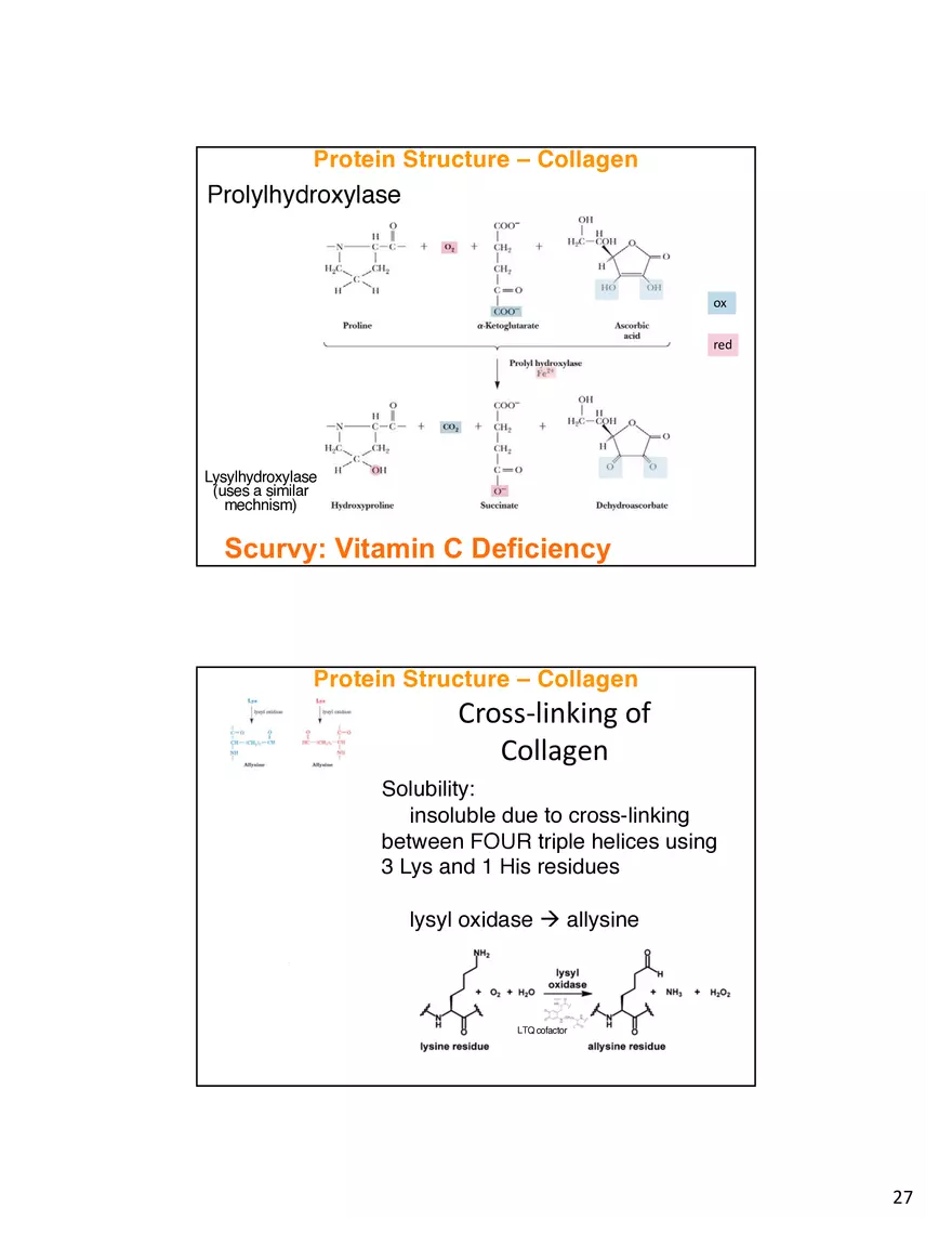Protein-Conformational Structure Determination - Page 20