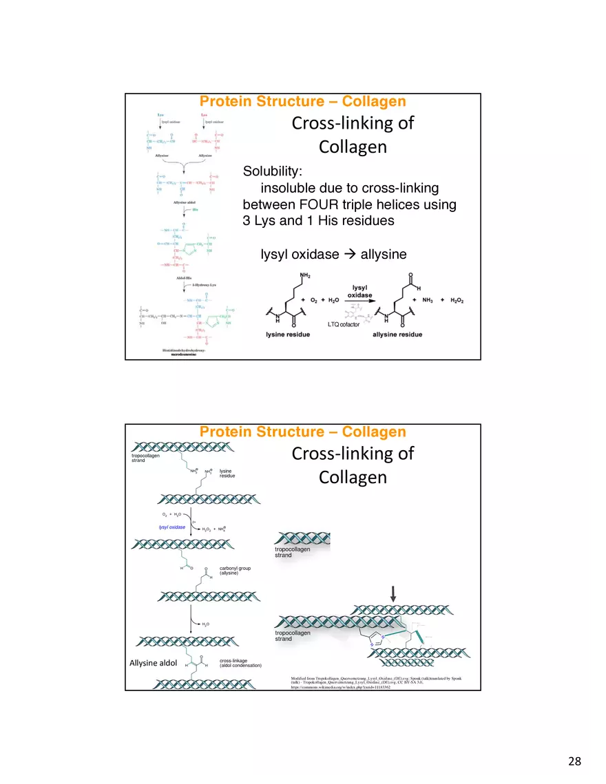 Protein-Conformational Structure Determination - Page 21