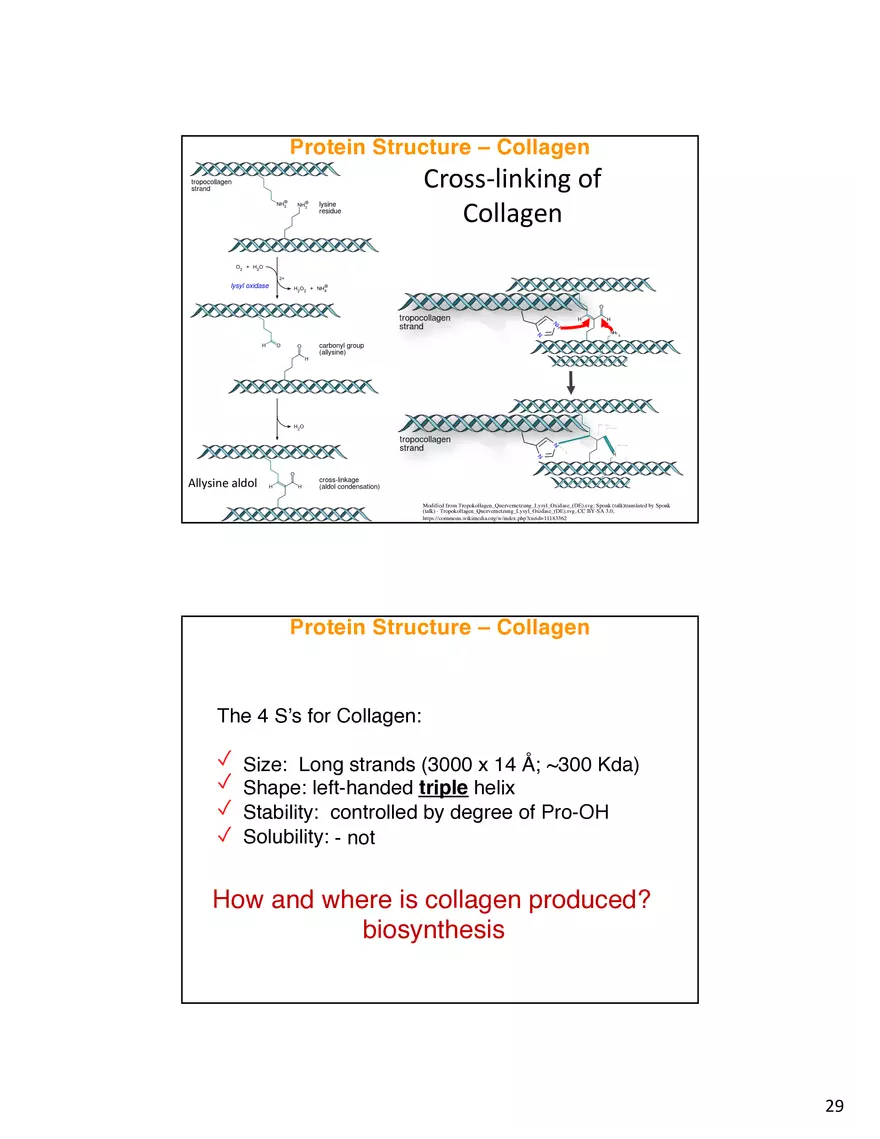 Protein-Conformational Structure Determination - Page 22