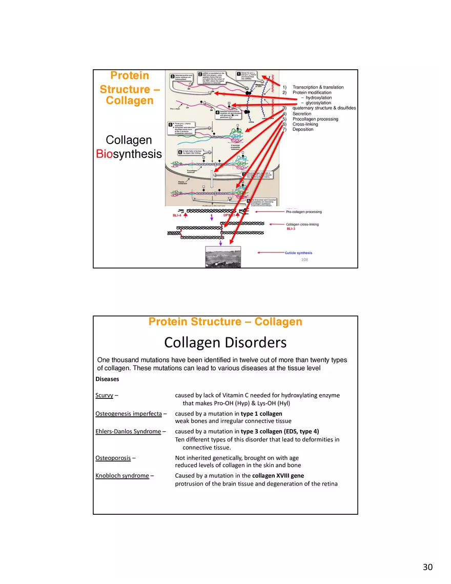 Protein-Conformational Structure Determination - Page 23