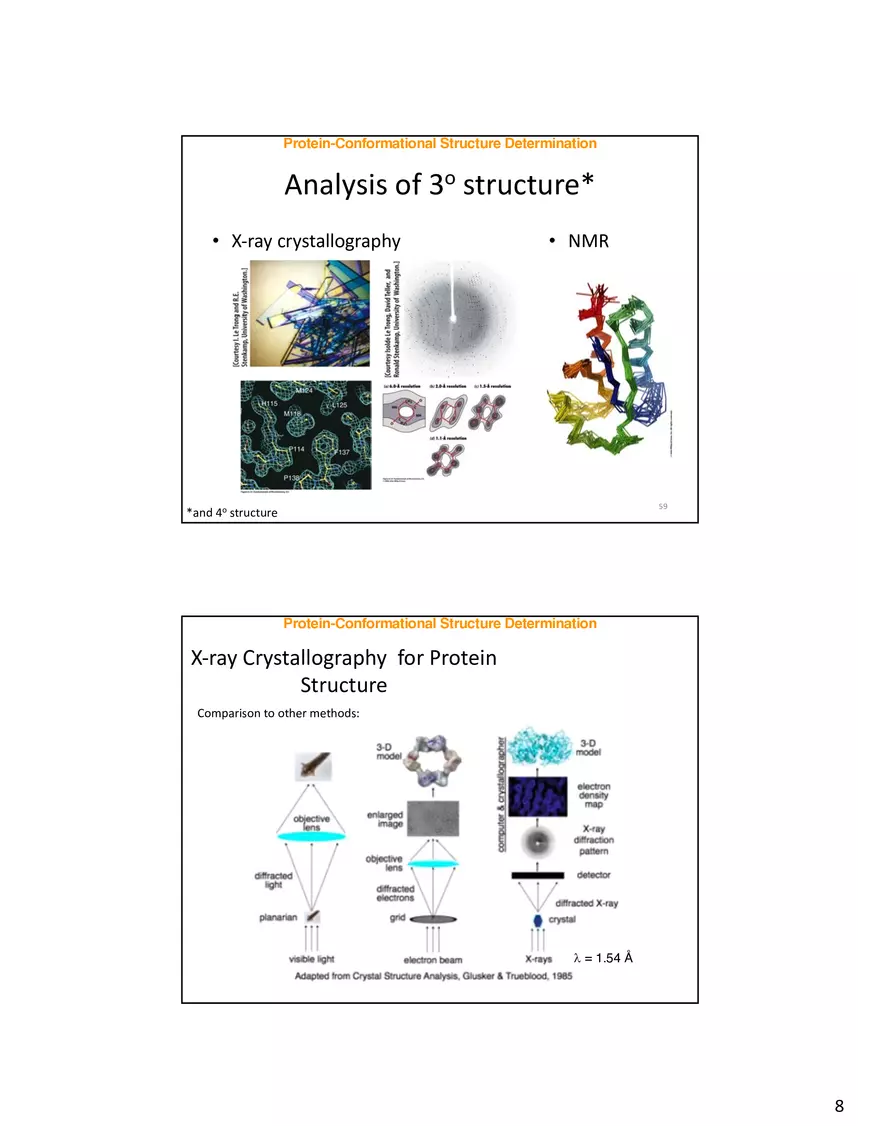 Protein-Conformational Structure Determination - Page 28