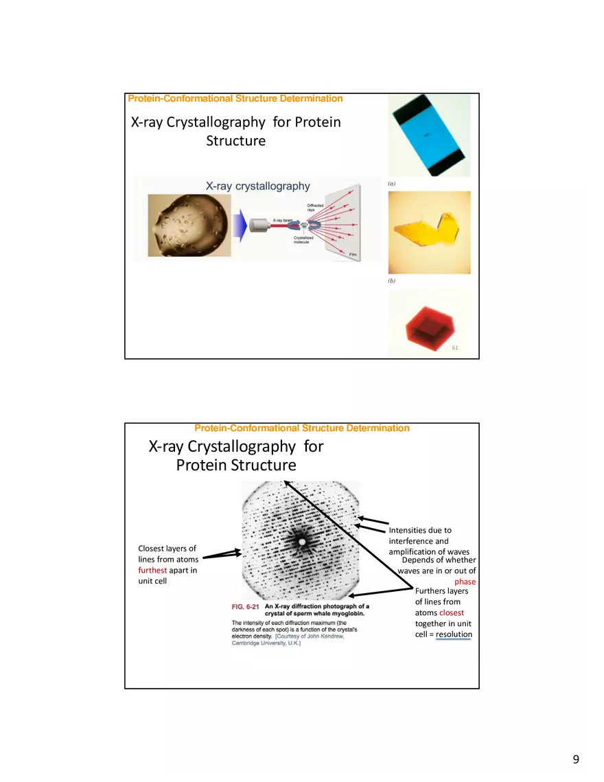 Protein-Conformational Structure Determination - Page 29