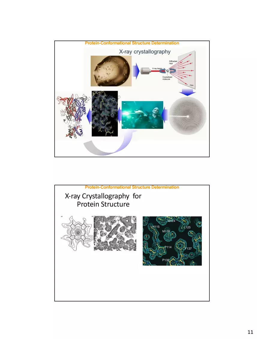 Protein-Conformational Structure Determination - Page 3