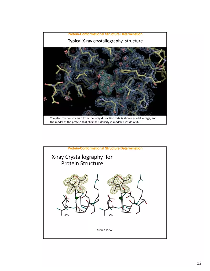Protein-Conformational Structure Determination - Page 4