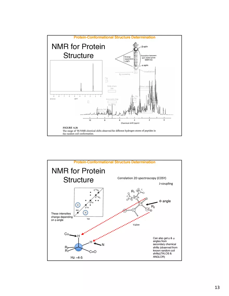Protein-Conformational Structure Determination - Page 5