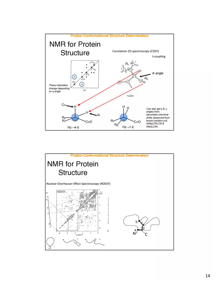Protein-Conformational Structure Determination - Page 6